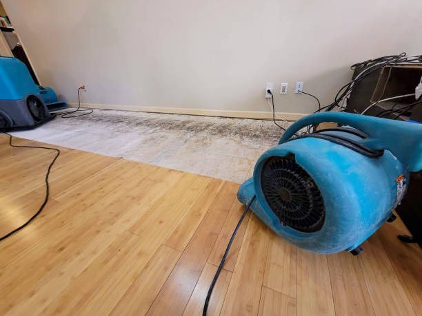 Professional Water Damage Repair technician working in Marblemount, WA